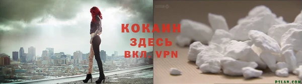 ешки Новозыбков