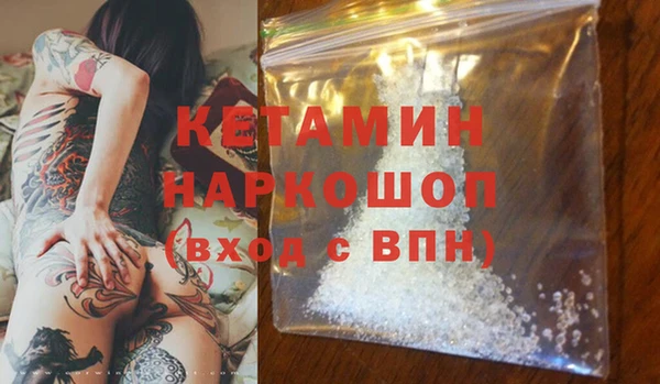 гидра Новодвинск
