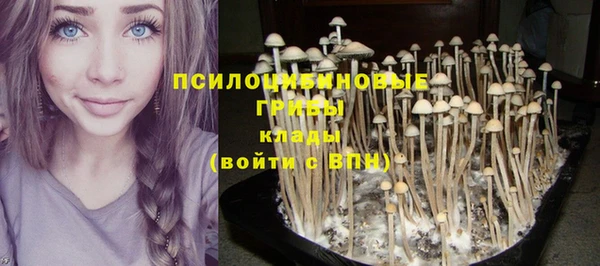 гидра Новодвинск