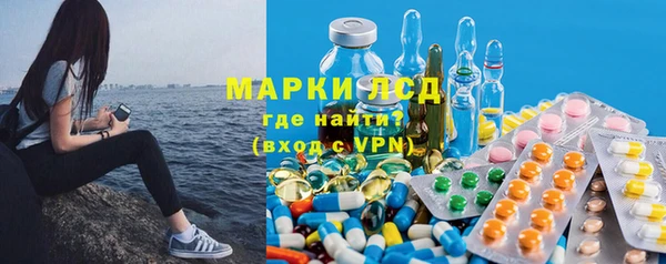гидра Новодвинск