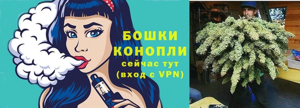 хмурый Нягань