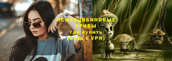 хмурый Нягань