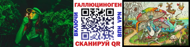 МЕГА зеркало  Орёл  Псилоцибиновые грибы Psilocybe 